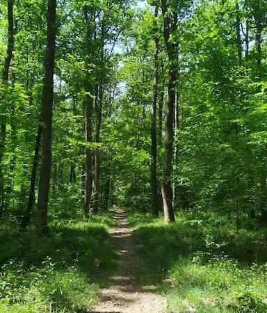 Villa Les Murmures Du Moulin